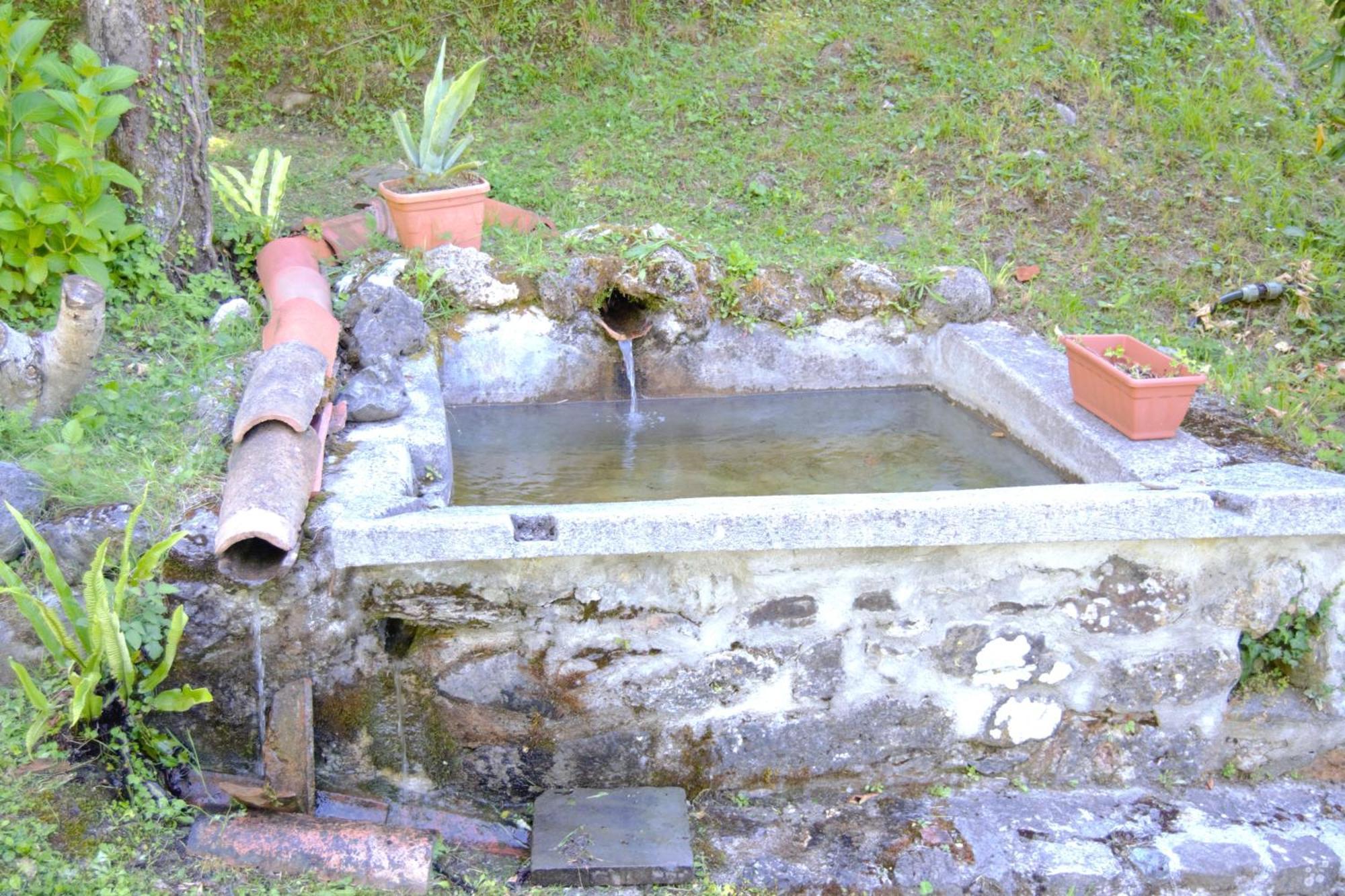 Casa Vacanze Il Boscaccio "Casa Massimo" Fornovolasco Exterior foto